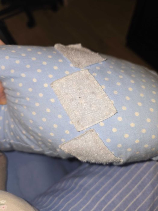 Perna sarcina și  alaptare