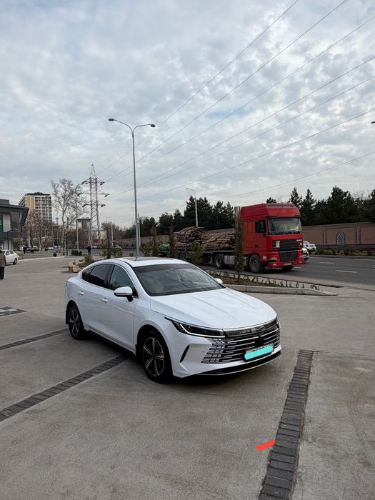 2023/24 Byd chazor 4 poz eng fuli