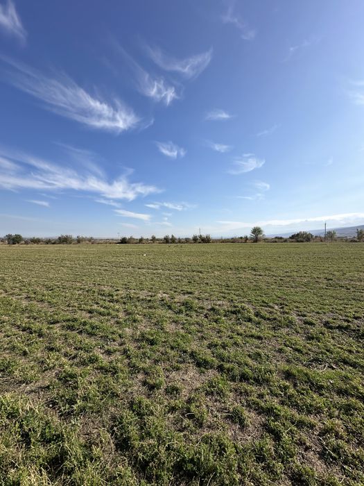 Продам участок 7.4 сотки в СНТ