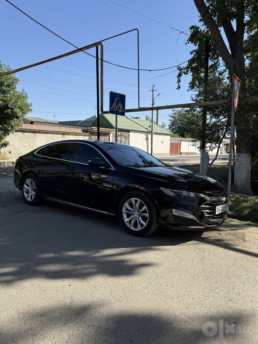 Malibu atmasferniy 2017