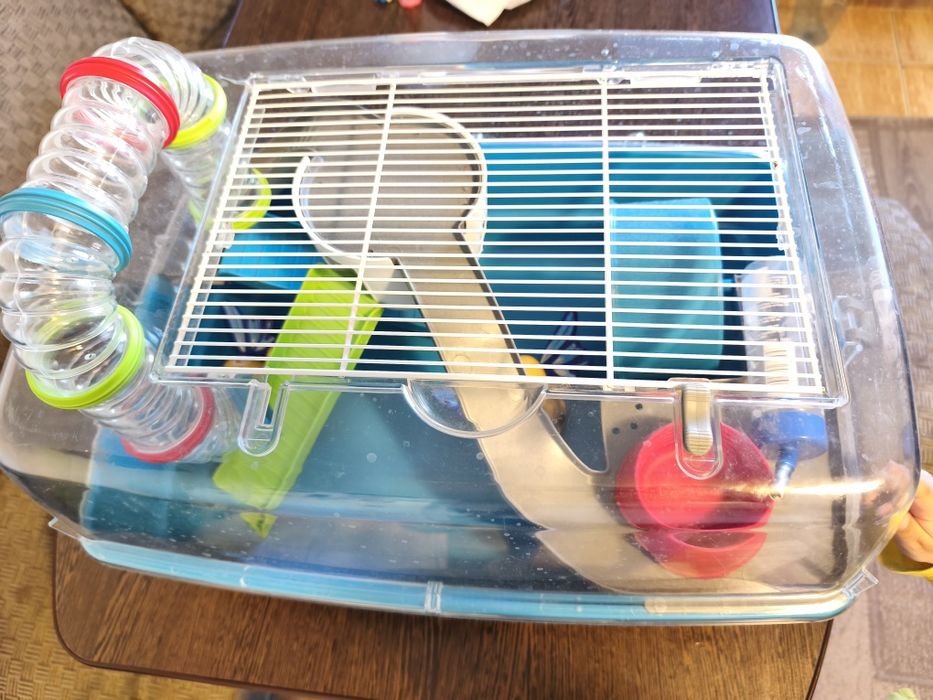 Când cușcă hamster