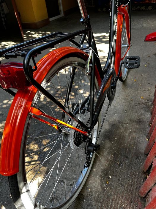 Bicicleta pino pinguino