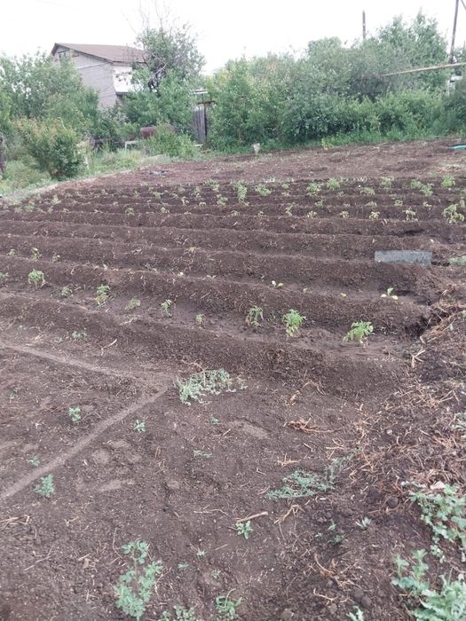 Продам дачу или обмен