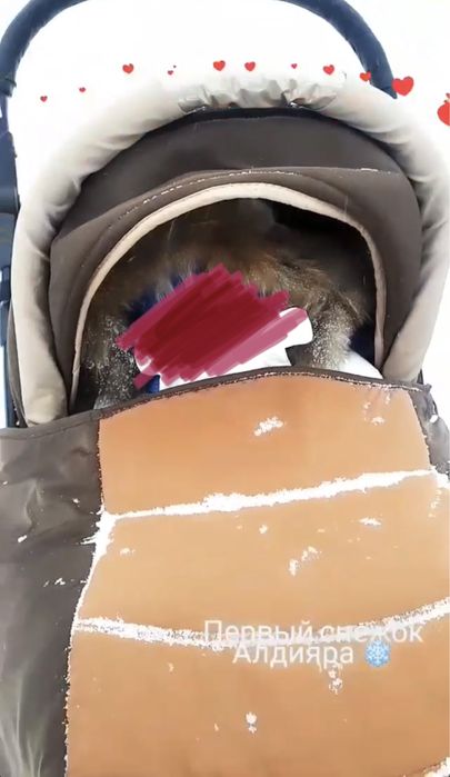 Продам коляску зима-лето