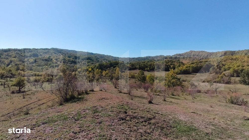 Teren extravilan cu priveliste superba , livada si potential casute de