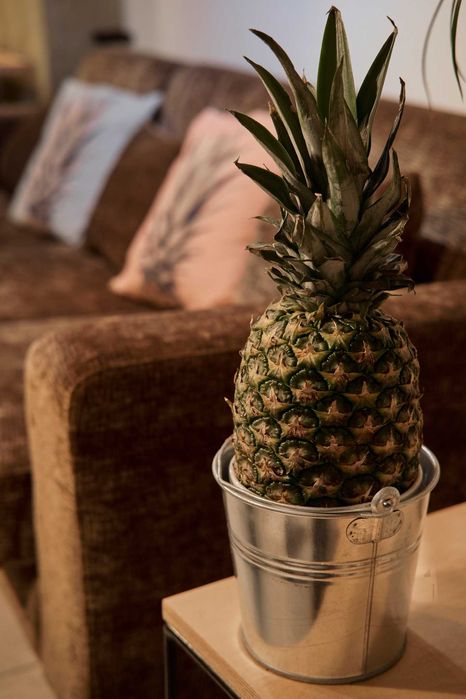 Продава се Едностаен апартамент в София, Център - 50 кв.м за 5320 €/кв.м - Снимка #7