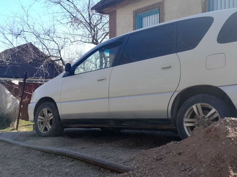 Тайота ипсун продам