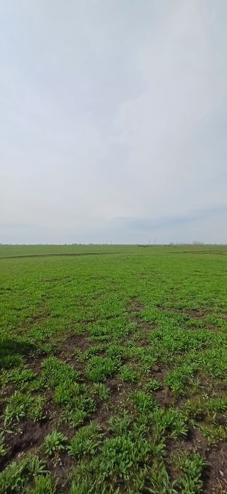 Продам земельный участок