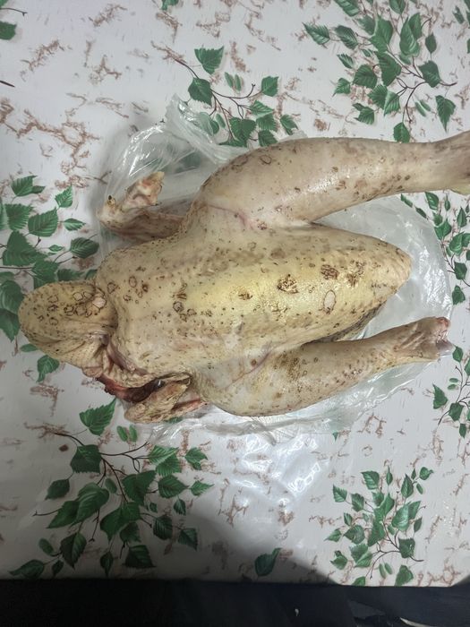 Продам домашних курей -бройлеров