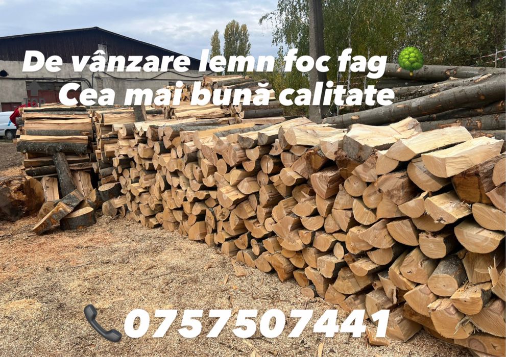 Vand lemn foc fag !