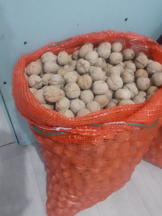 Орехи грецкие орехи