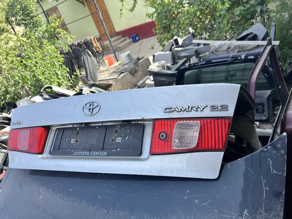 Камри миниморды нускаты