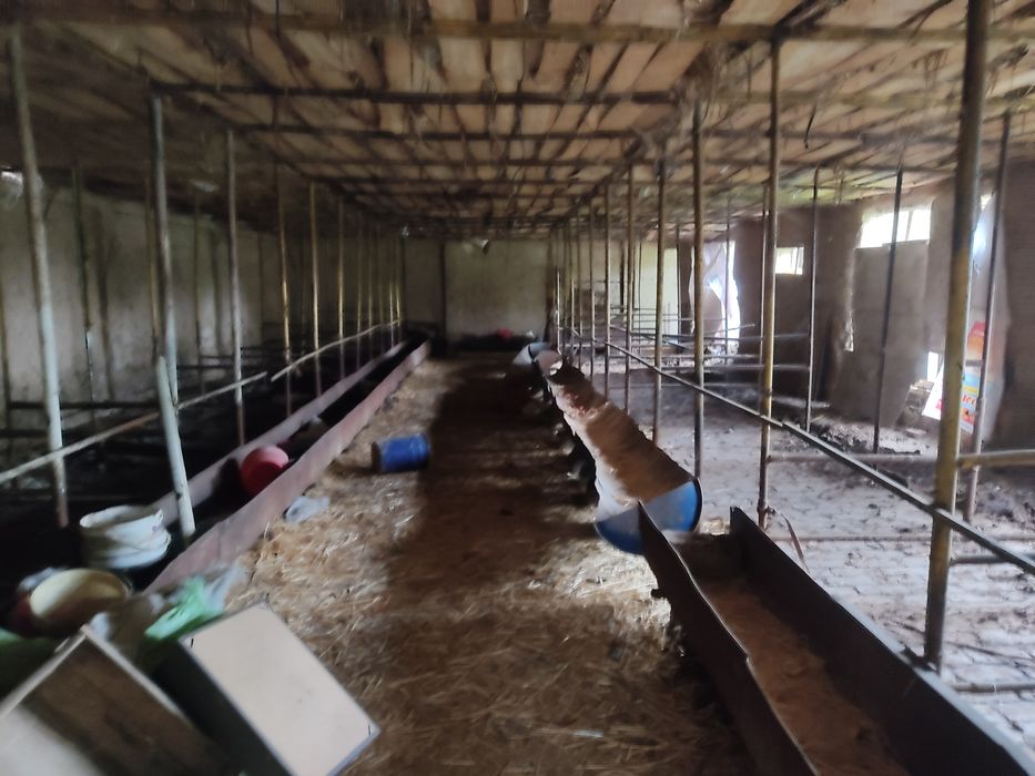 Bardamkol qaytmasta 24 sotik yer