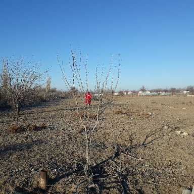 дачный участок с/о Нефтепереработчик