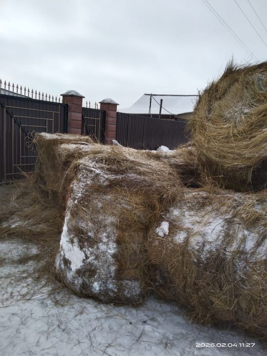 Продам тюки сена