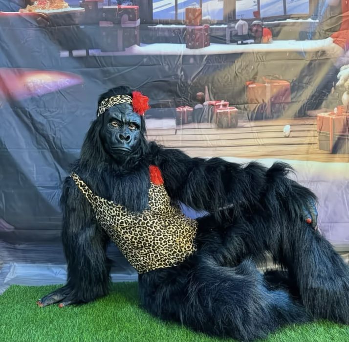 Екі аниматор бірге сатылады!