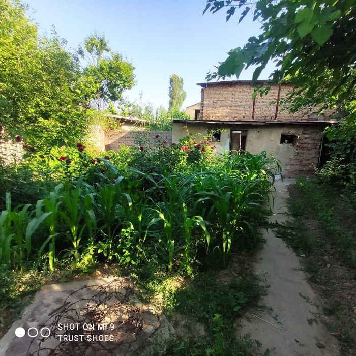Dom dacha chirchiq "orom rohat"