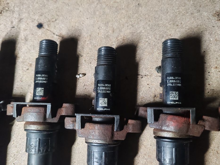 Injector Citroen C5 2.0hdi 250lei buc