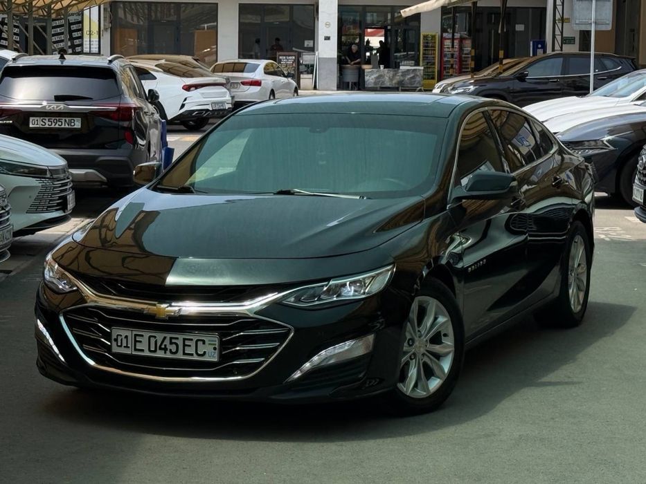 Malibu 2 Primer 2021