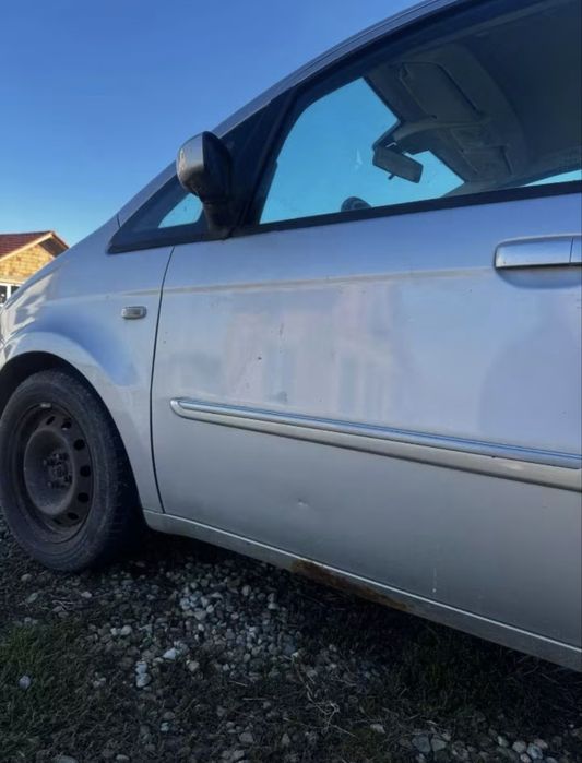 Lancia Musa , functionala