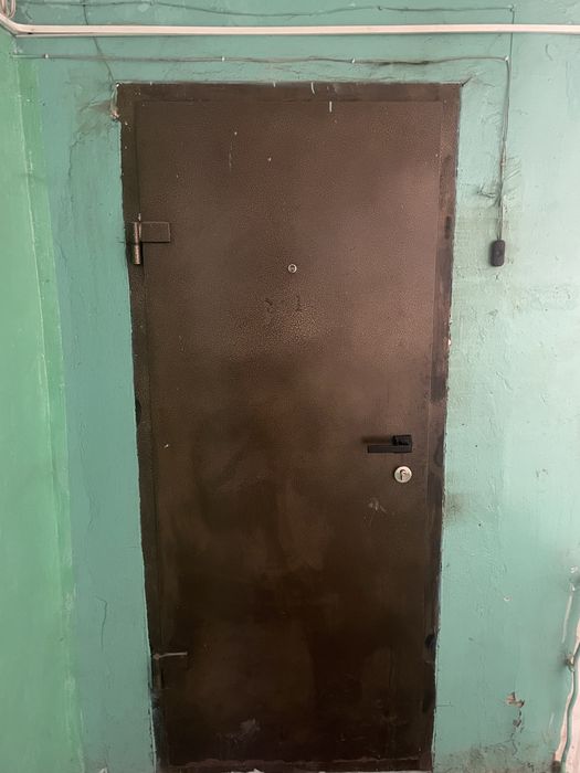 Железная дверь 80/200