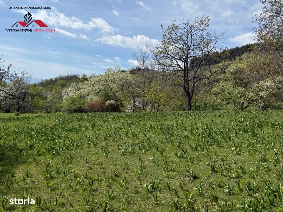Teren intravilan 8330 mp de vanzare in Inuri Jud Alba