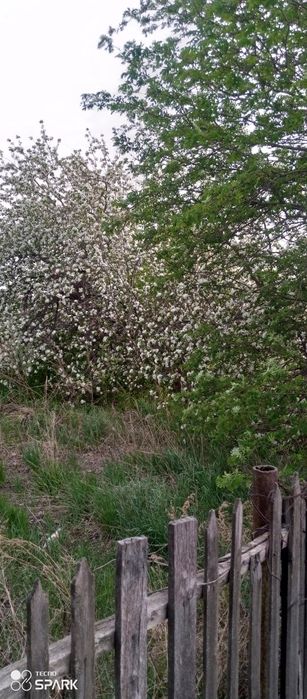 Продам два участка С.О. Автомобилист