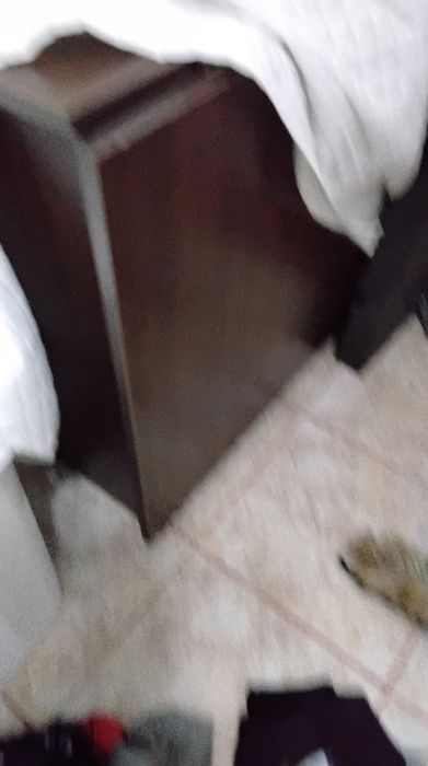 Masă rabatabila  wenge