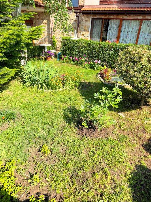 Тристаен апартамент в Кошарица