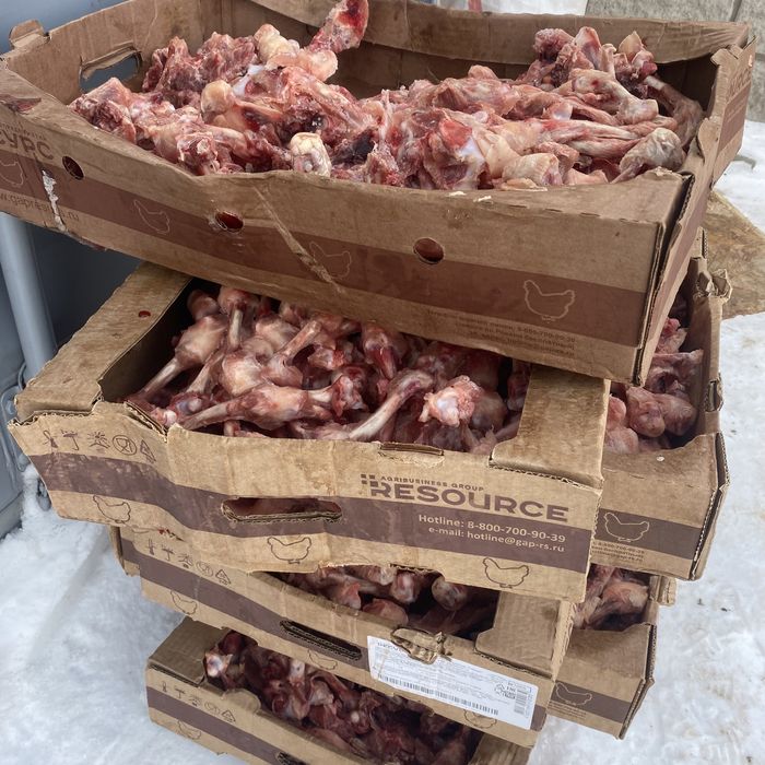 Куриные кости для собак