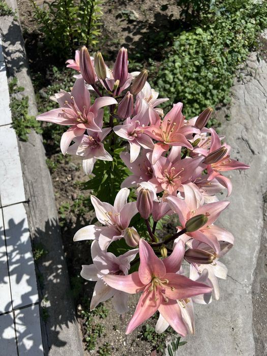 Продам дом два уровня