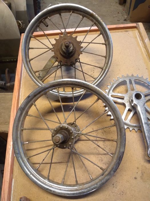 Pegas mini pegas soim