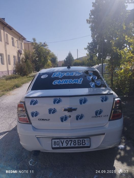 Coblt midnight sotiladi 2025