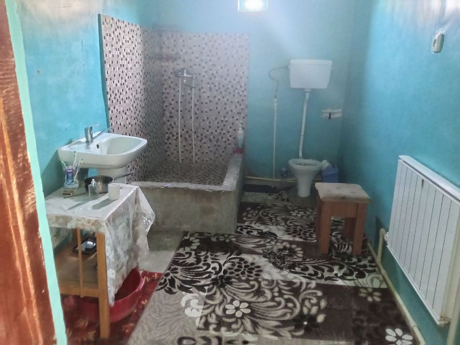 Uy egasi proektni extiro qilgan kotij