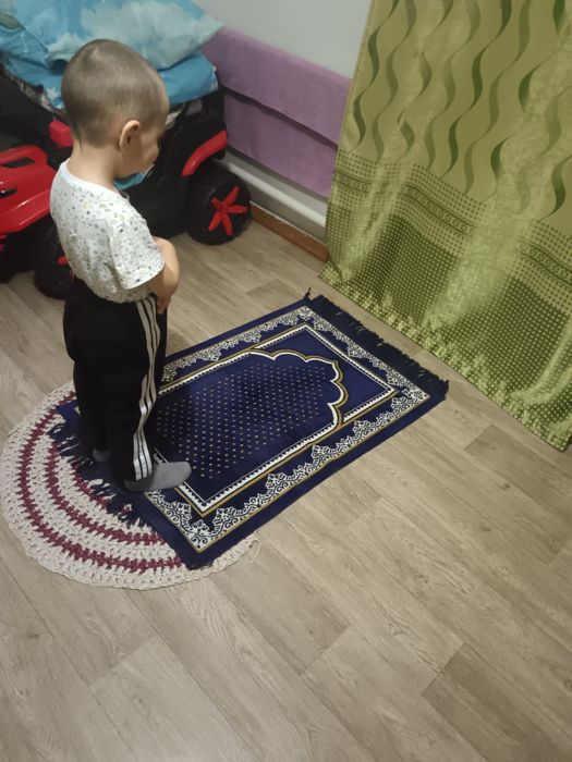 Пылесос моющий THOMAS