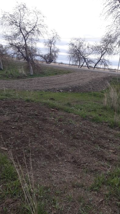 Продам землю и дом Алаколе