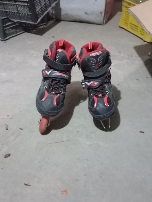 Rolik qizbolaniki va oĝilbolaniki