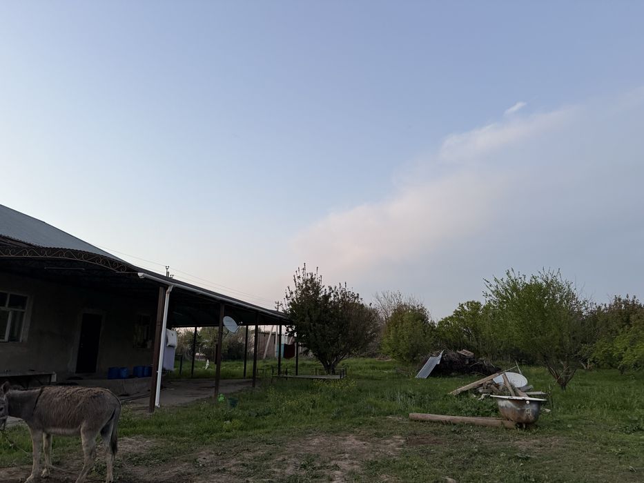 Үй сатылады 19 млн. Саудасы бар