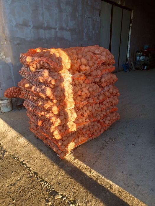 Cartofi, egalizati 10kg, 25 kg