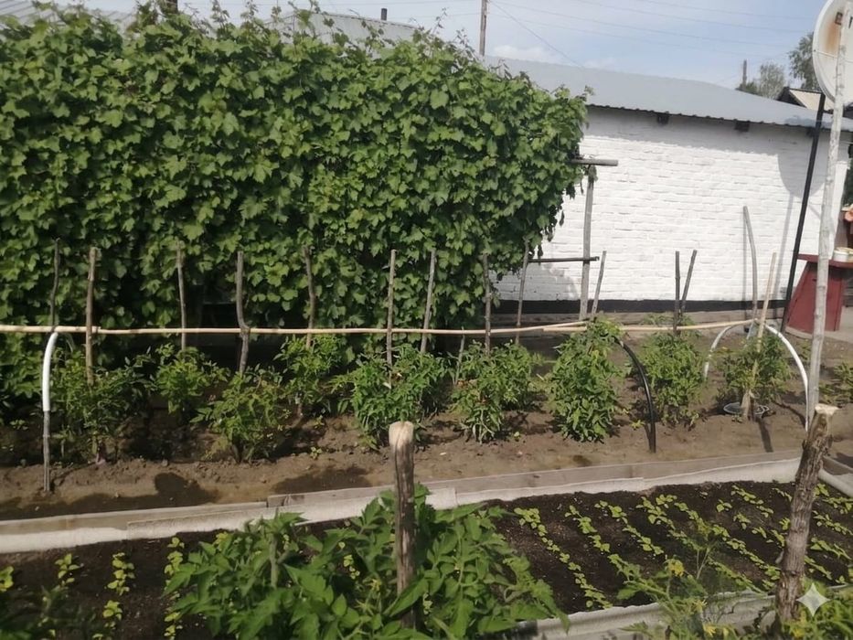 Продам 3х комнатный дом.