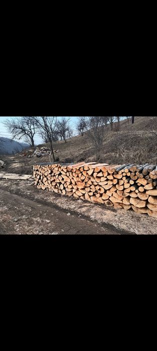 Lemne de foc fag / stejar uscat 600lei tona sau la metru ster/ cub