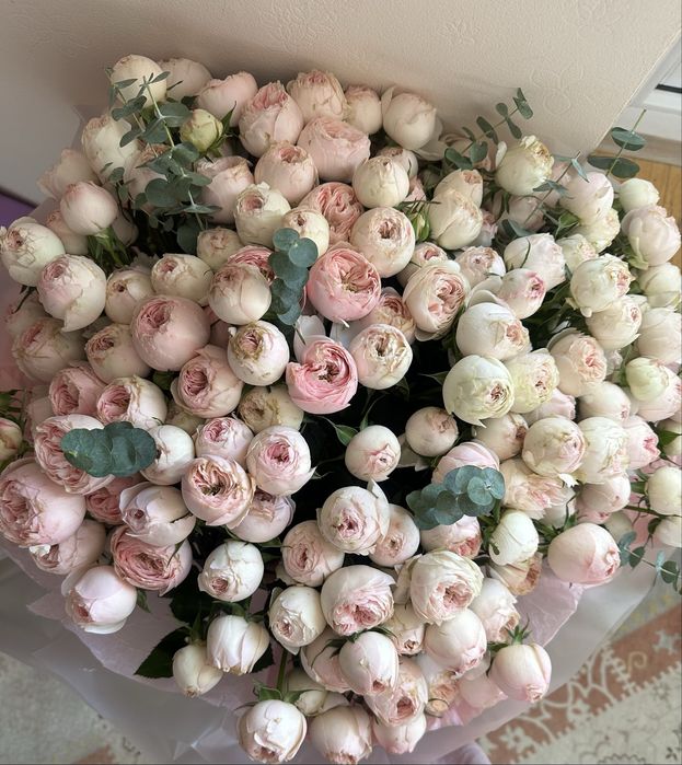 Продам цветы свежие пиановидное розы