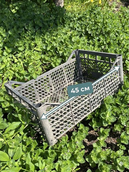 Продам пластиковые ящики