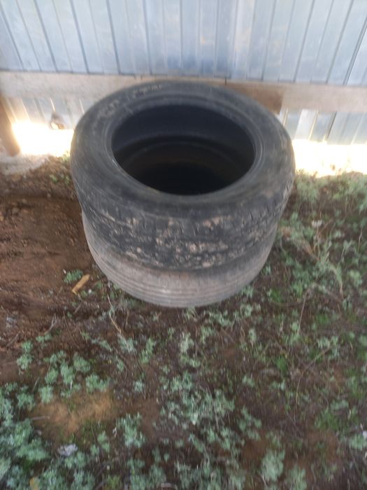 Автошино и диски