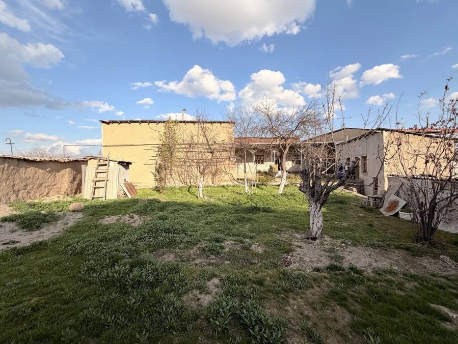 Макаронка  7.3 Соток Ховли   АРЗОН