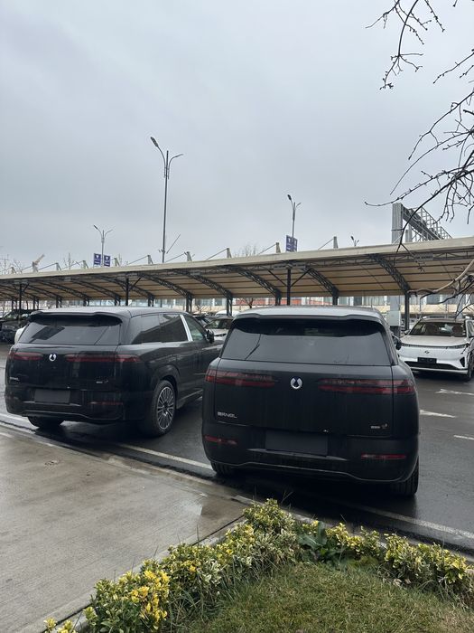 Denza N8L +bron plyonka