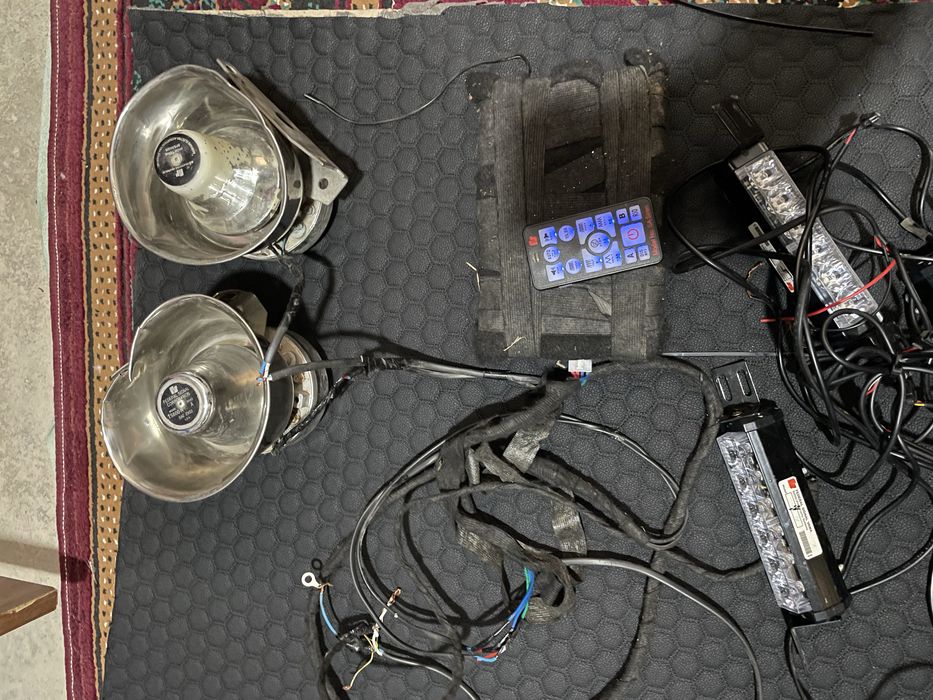 Serena migalka ideal