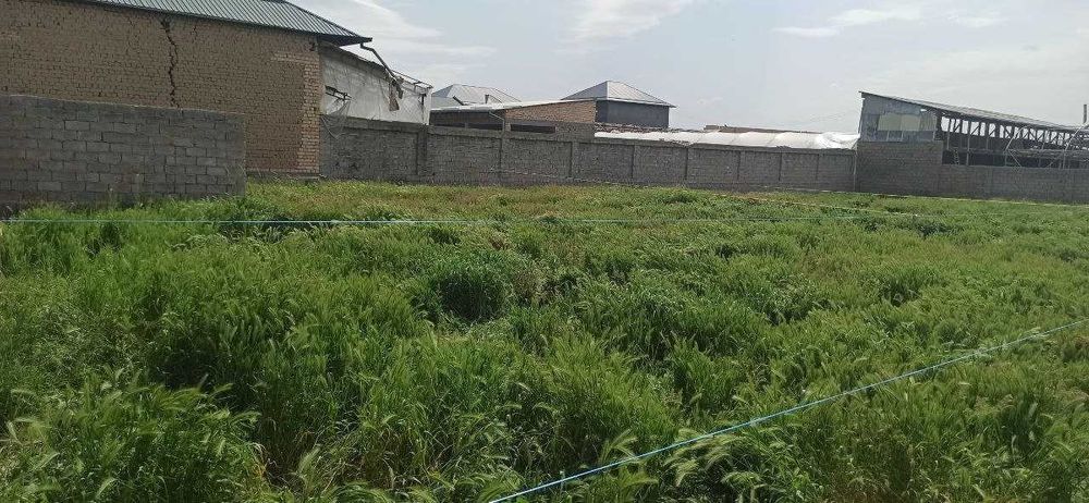 Quruq yer sotiladi O'nqo'rg'on obod mahalla