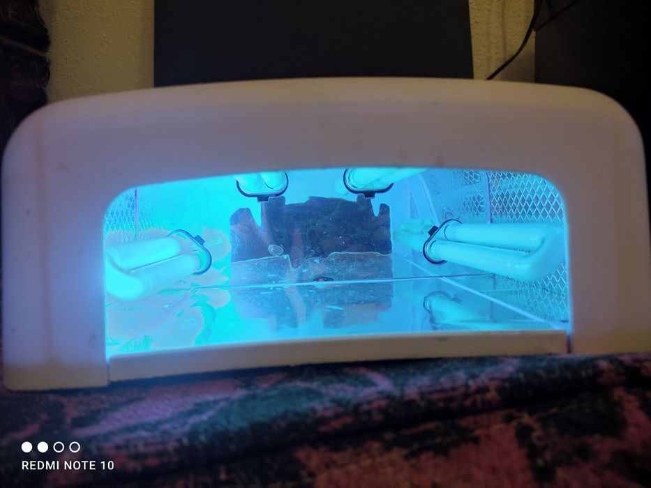 Lampa unghii cu gel