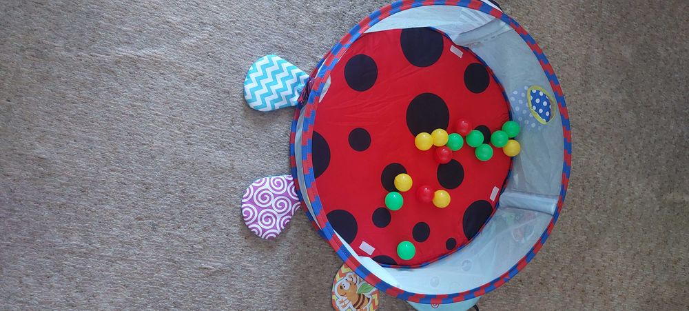 Столче за хранене Lorelli COOKIE, Активна гимнастика, Детско бънджи